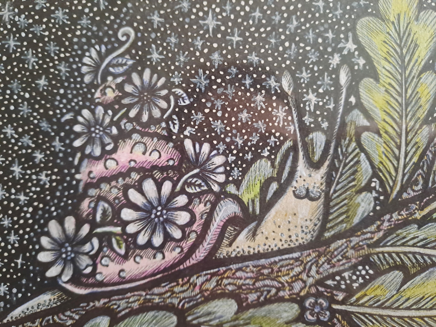 The Stargazer